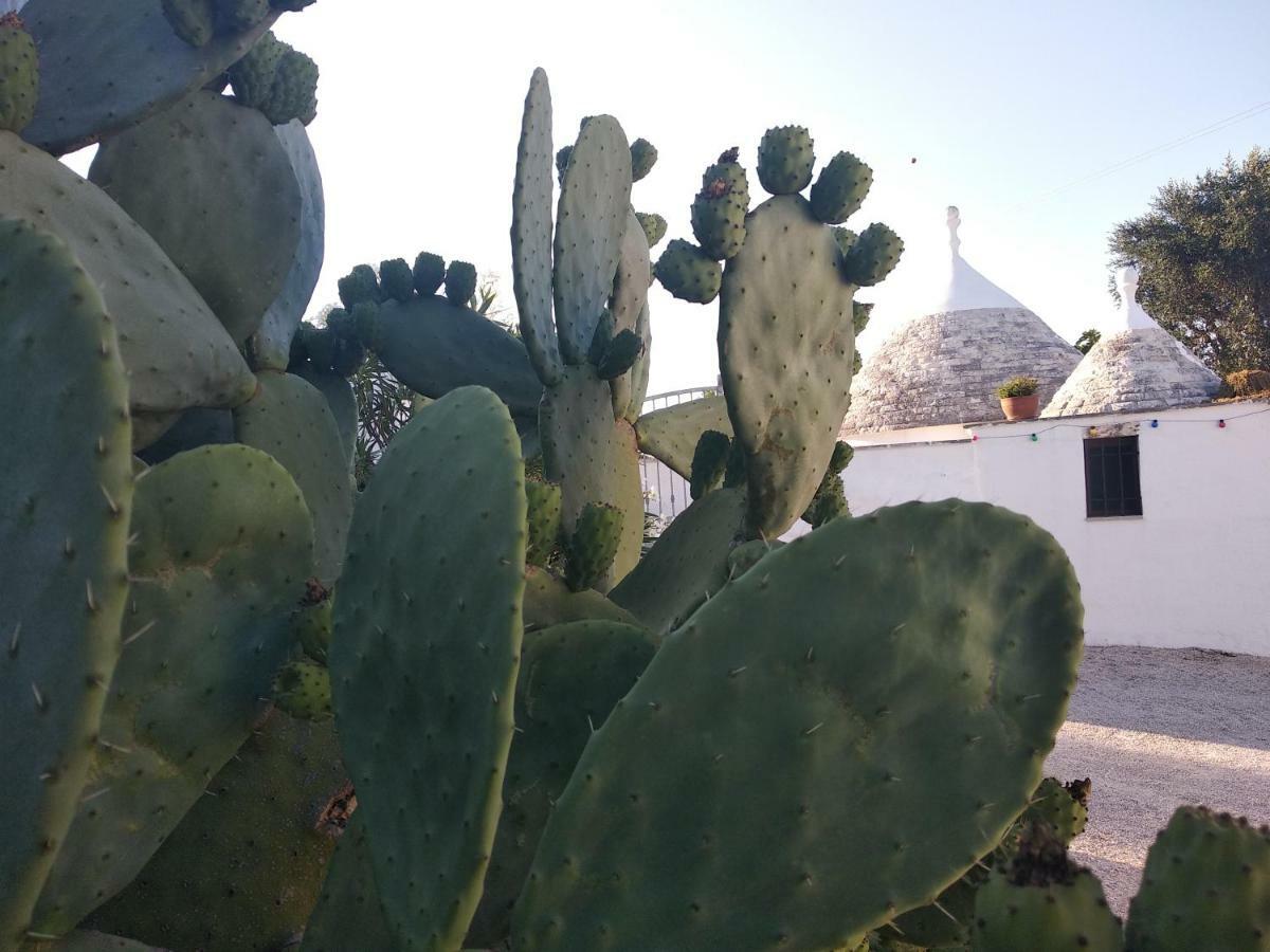 Piccolo Trullo Ostunese Le Jardin De Sophie' Ostuni Exteriér fotografie