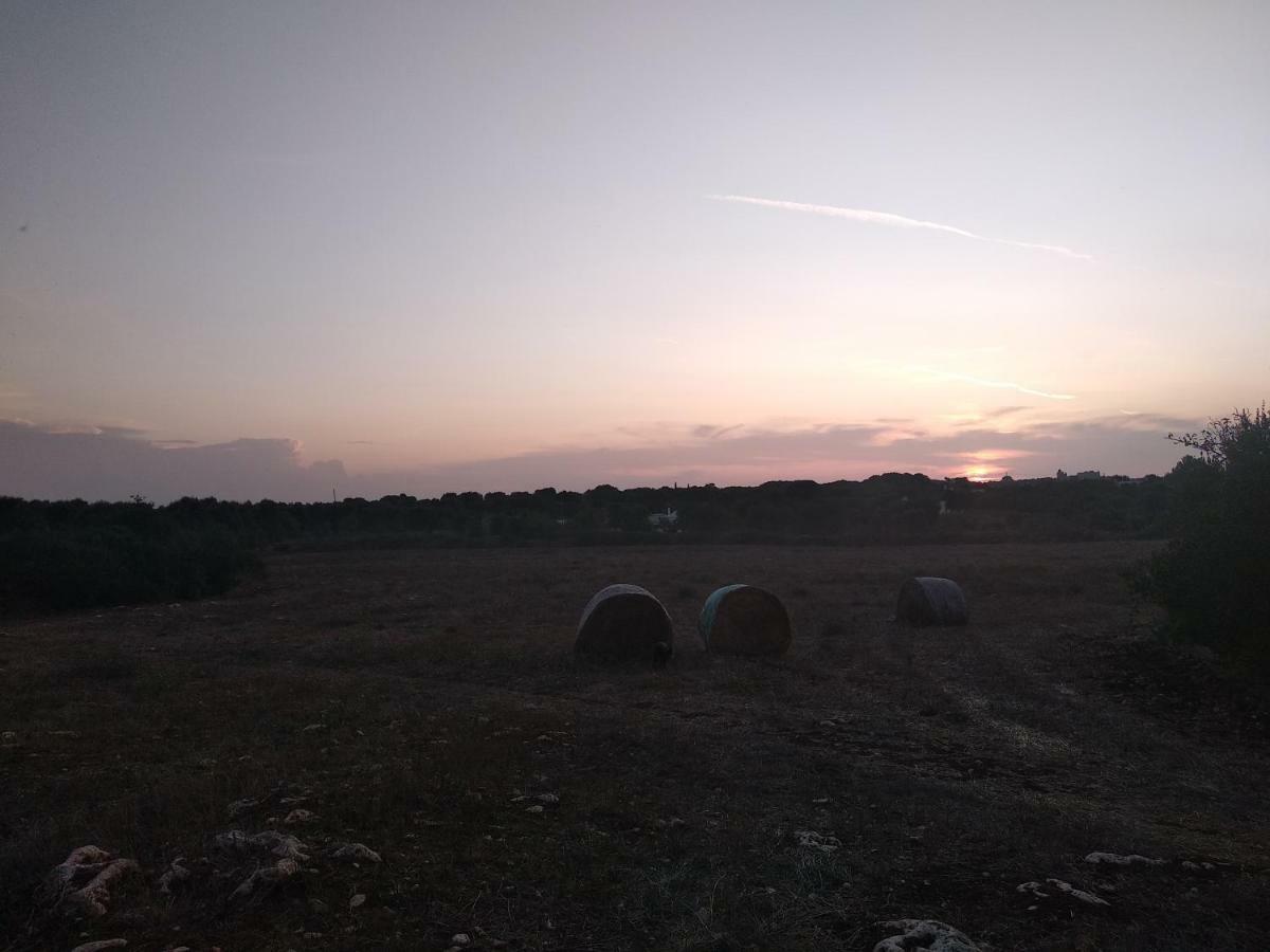Piccolo Trullo Ostunese Le Jardin De Sophie' Ostuni Exteriér fotografie
